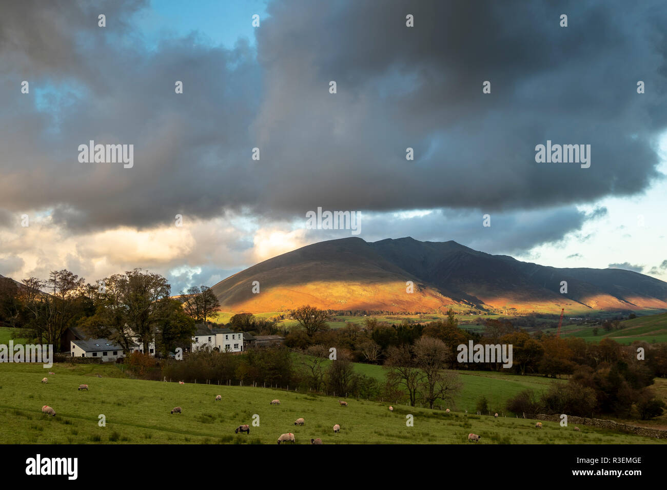 View from A591 near Naddle, Lake District, Cumbria, England Stock Photo