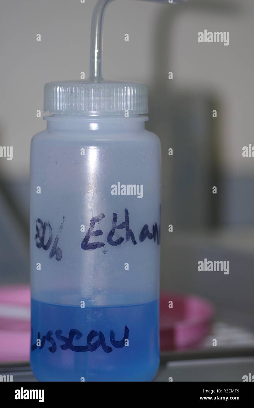 Ethanol in a Bottle. Biology Research Laboratory. Scotland, UK Stock