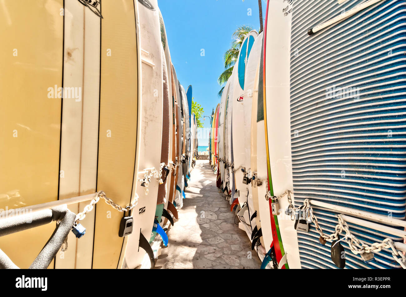 Surfboard rack waikiki beach hi-res stock photography and images - Alamy