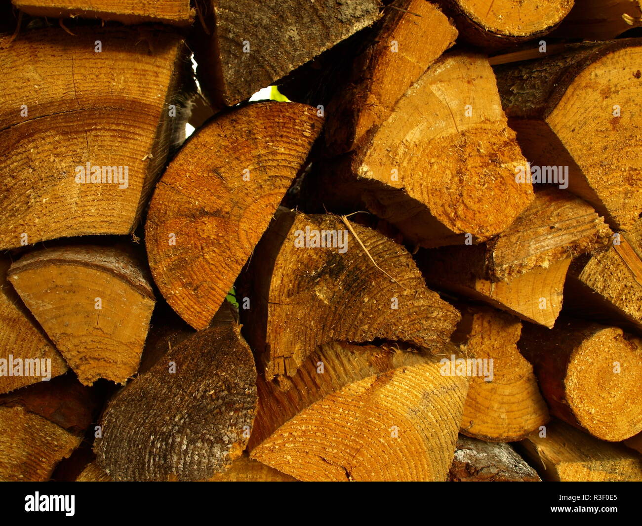 Beechwood log hires stock photography and images Alamy