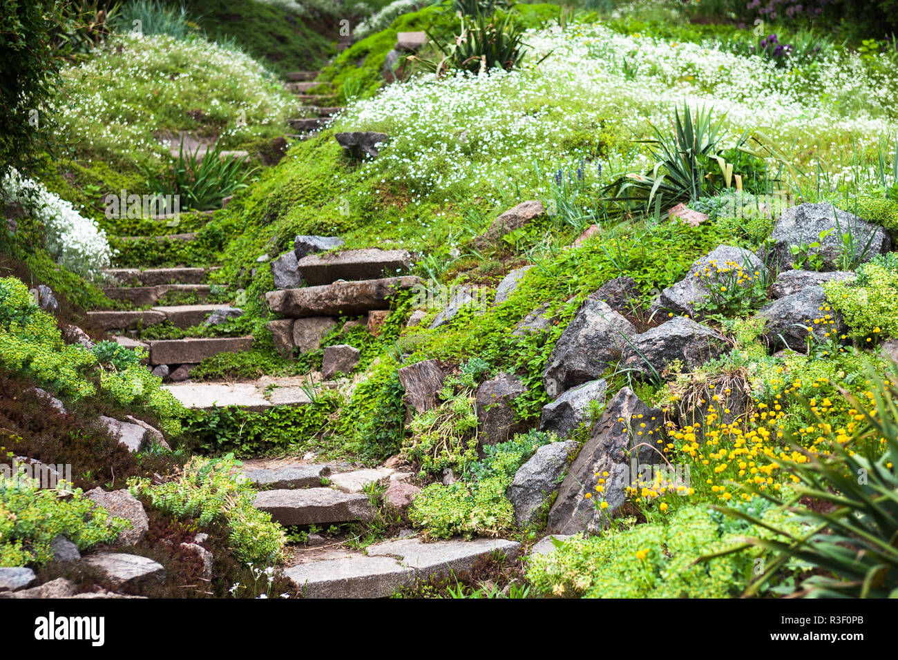 Ornamental grass rockery garden hi-res stock photography and images - Alamy