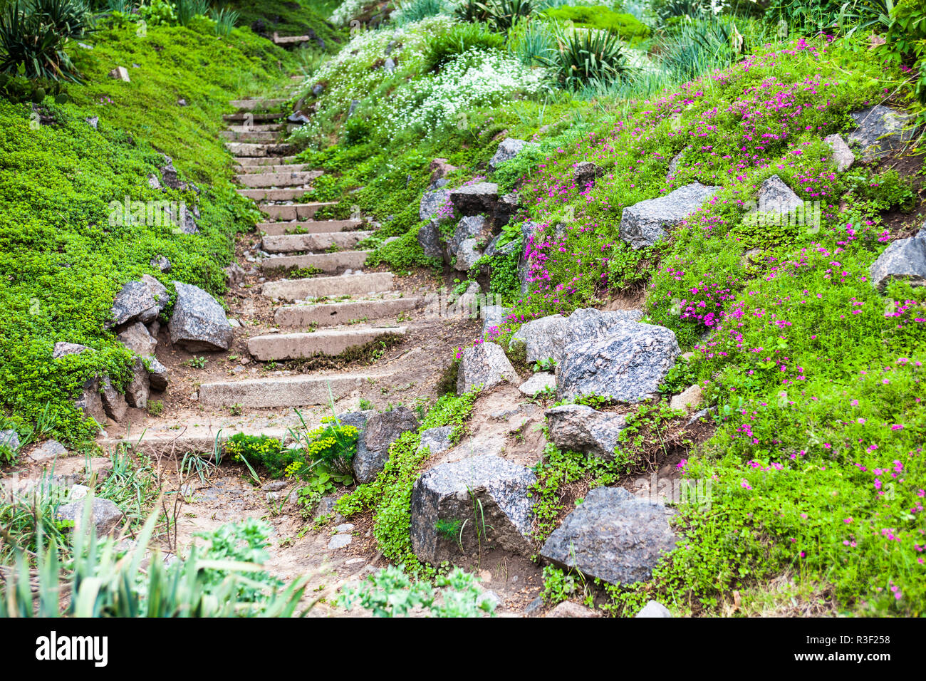 Ornamental grass rockery garden hi-res stock photography and images - Alamy