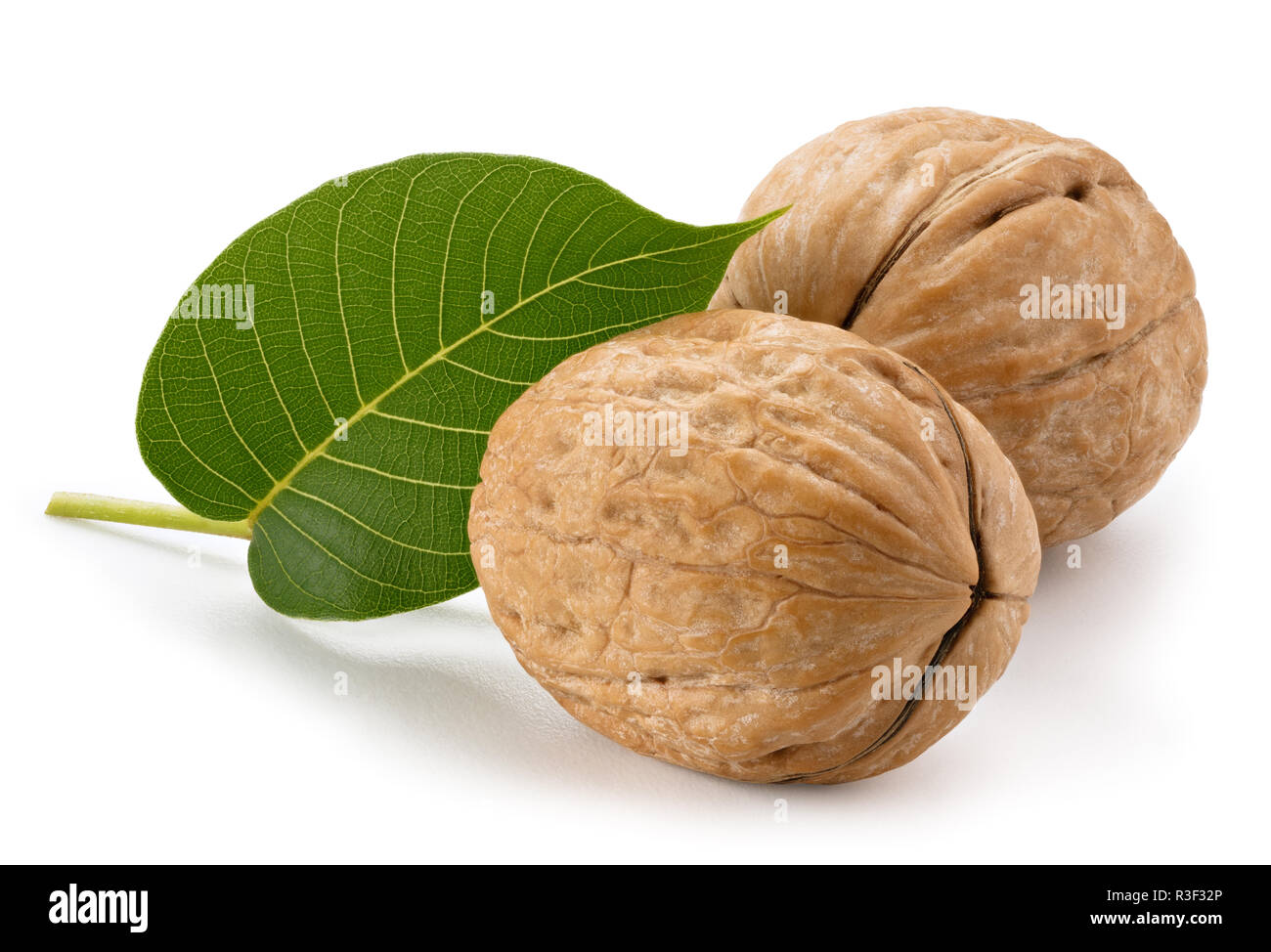 Walnuts with leaves isolated on white background Stock Photo