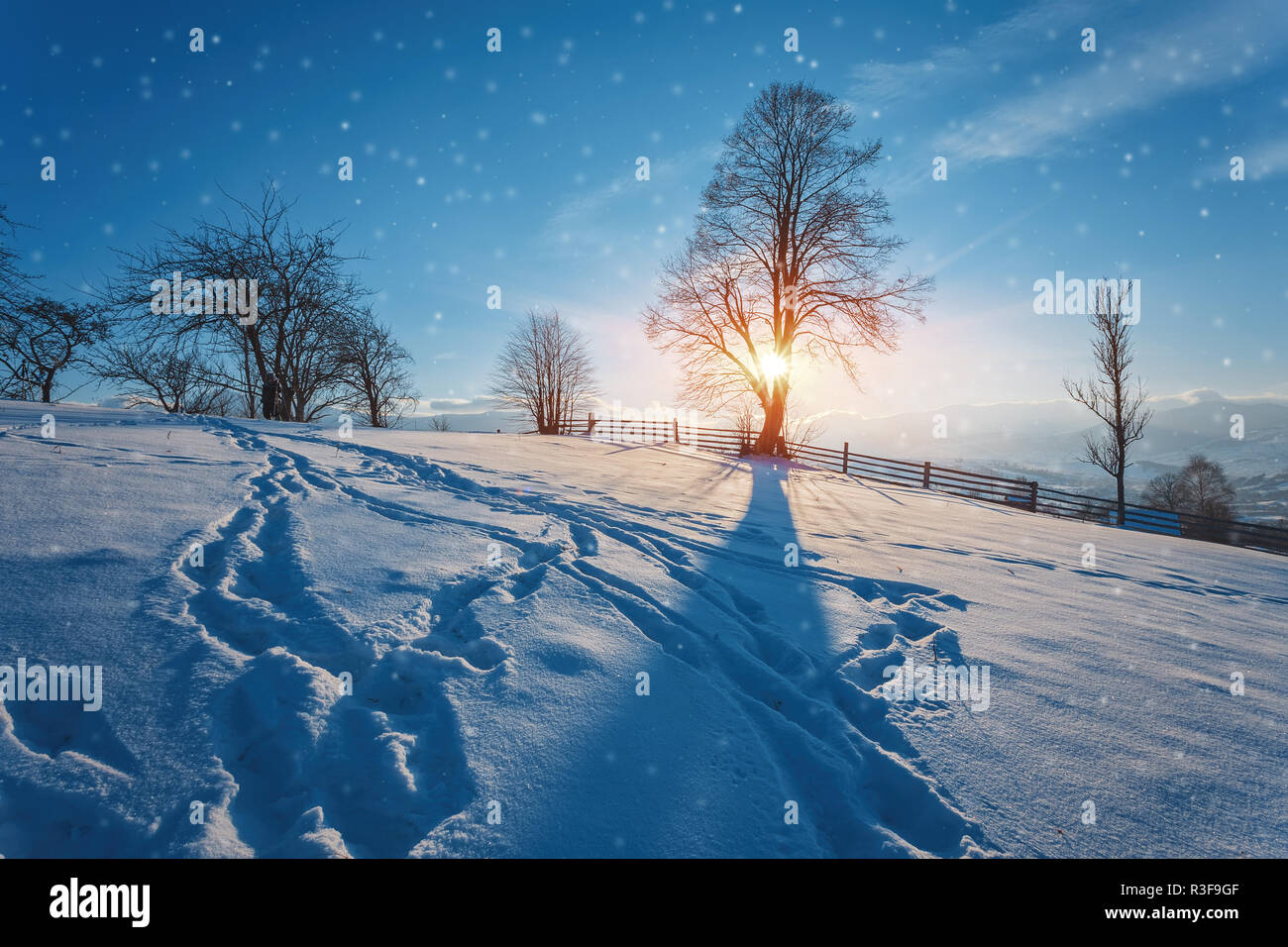 Winter landscape. Winter road and trees covered with snow Stock Photo ...
