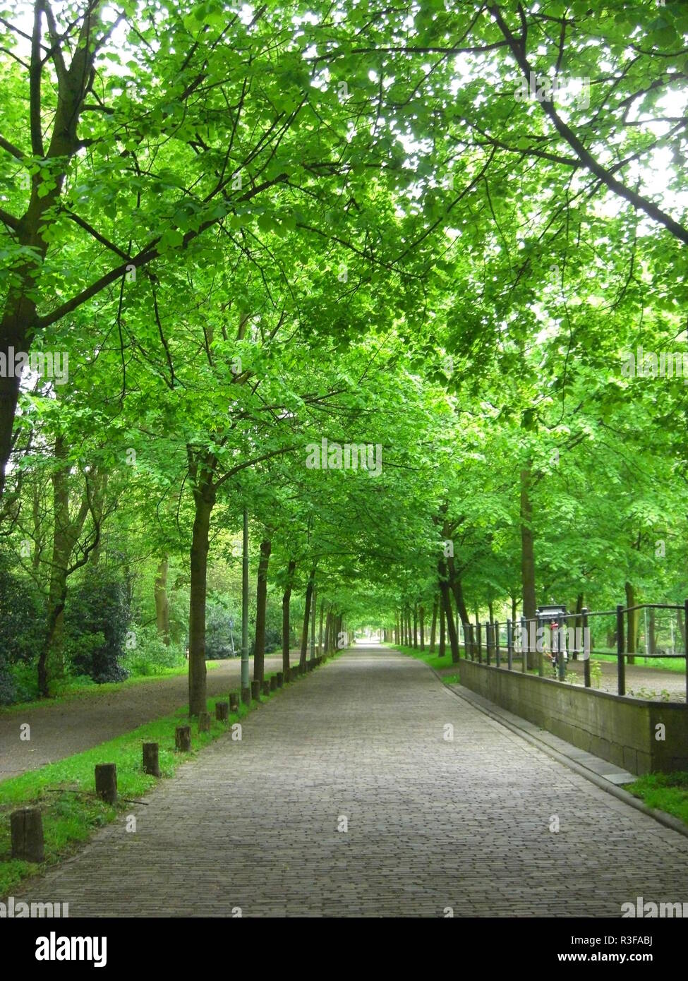 park in rotterdam Stock Photo