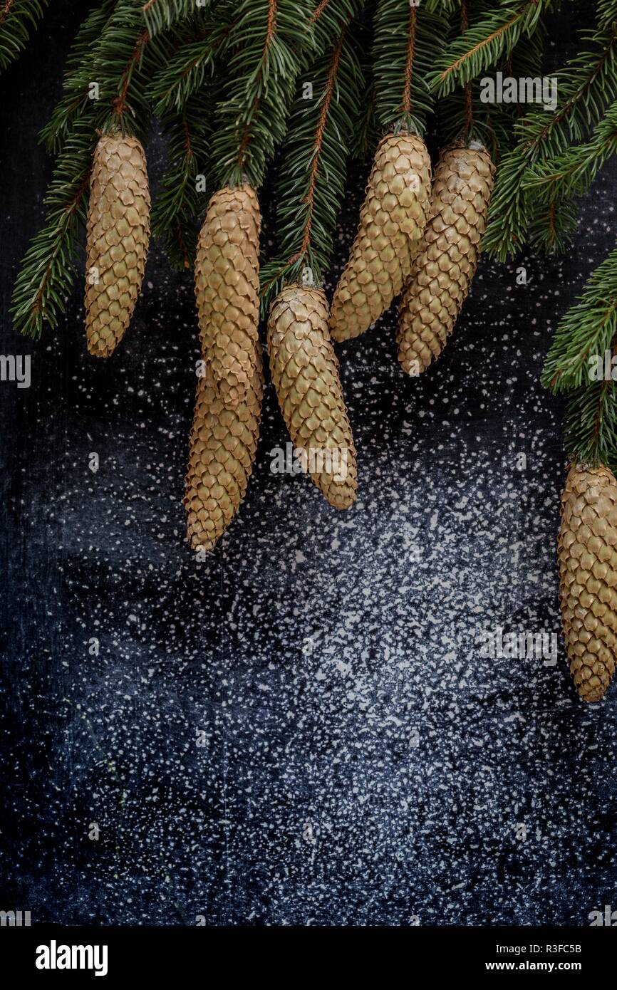 Chalkboard and branches of fir with cones on a background - christmas ...