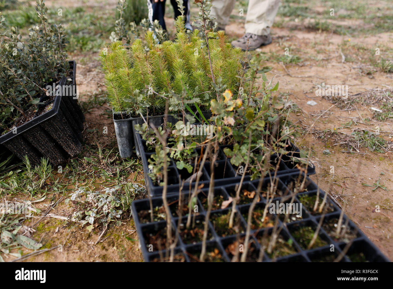 Children planting trees hi-res stock photography and images - Alamy