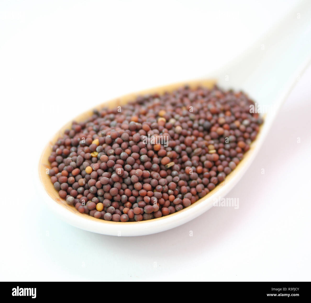brown mustard seeds Stock Photo Alamy