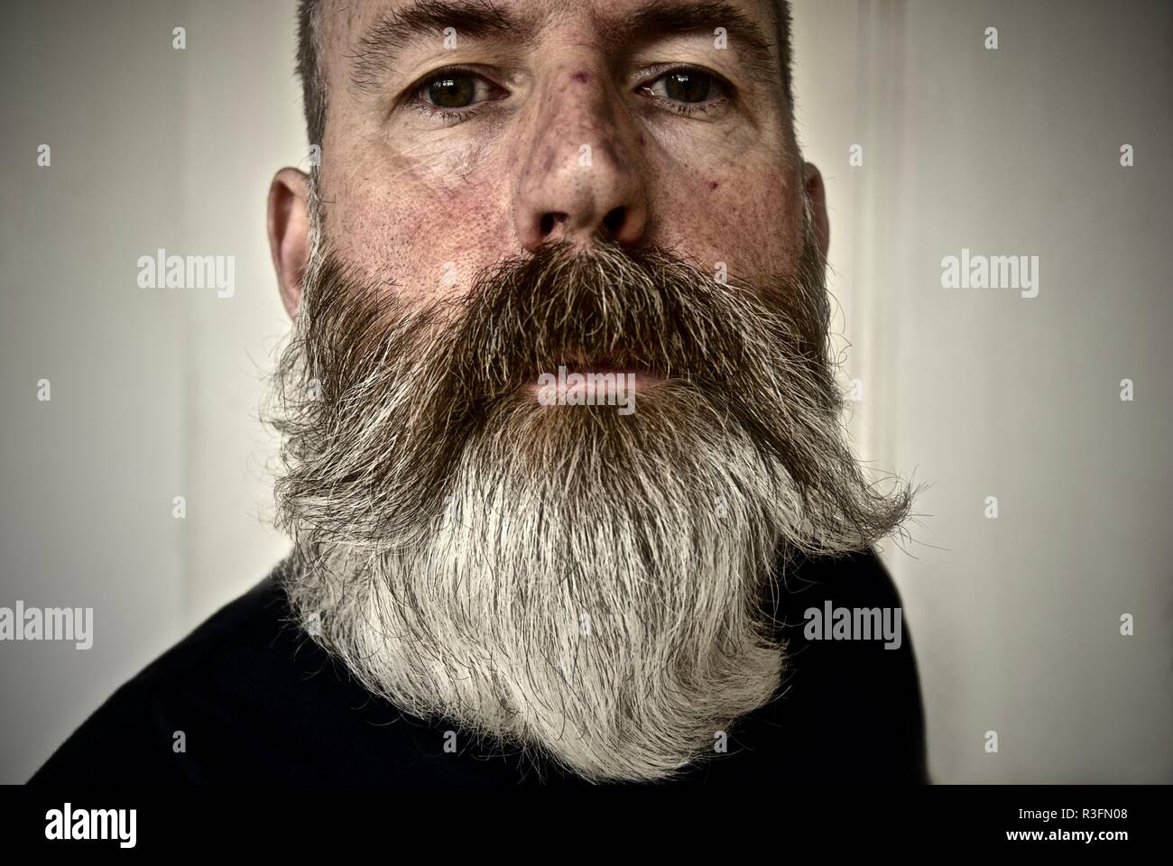 Middle aged man with large grey hipster beard Stock Photo
