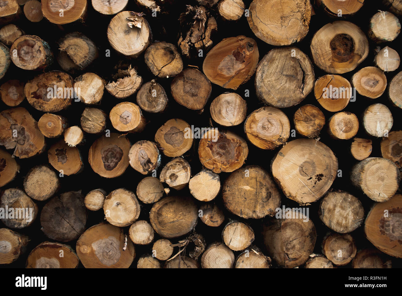 Pile of several cut down logs in Dalsland, Sweden Stock Photo