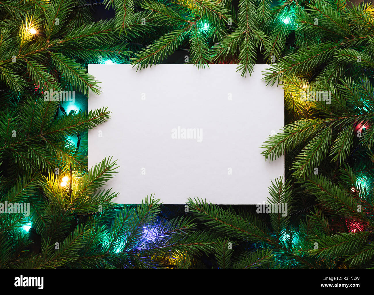 Christmas card for advertising text. Decorative frame of fir branches and Christmas lights Stock Photo