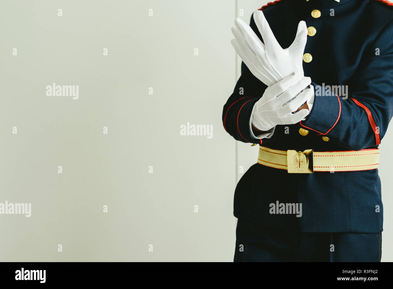 elegant white gloves