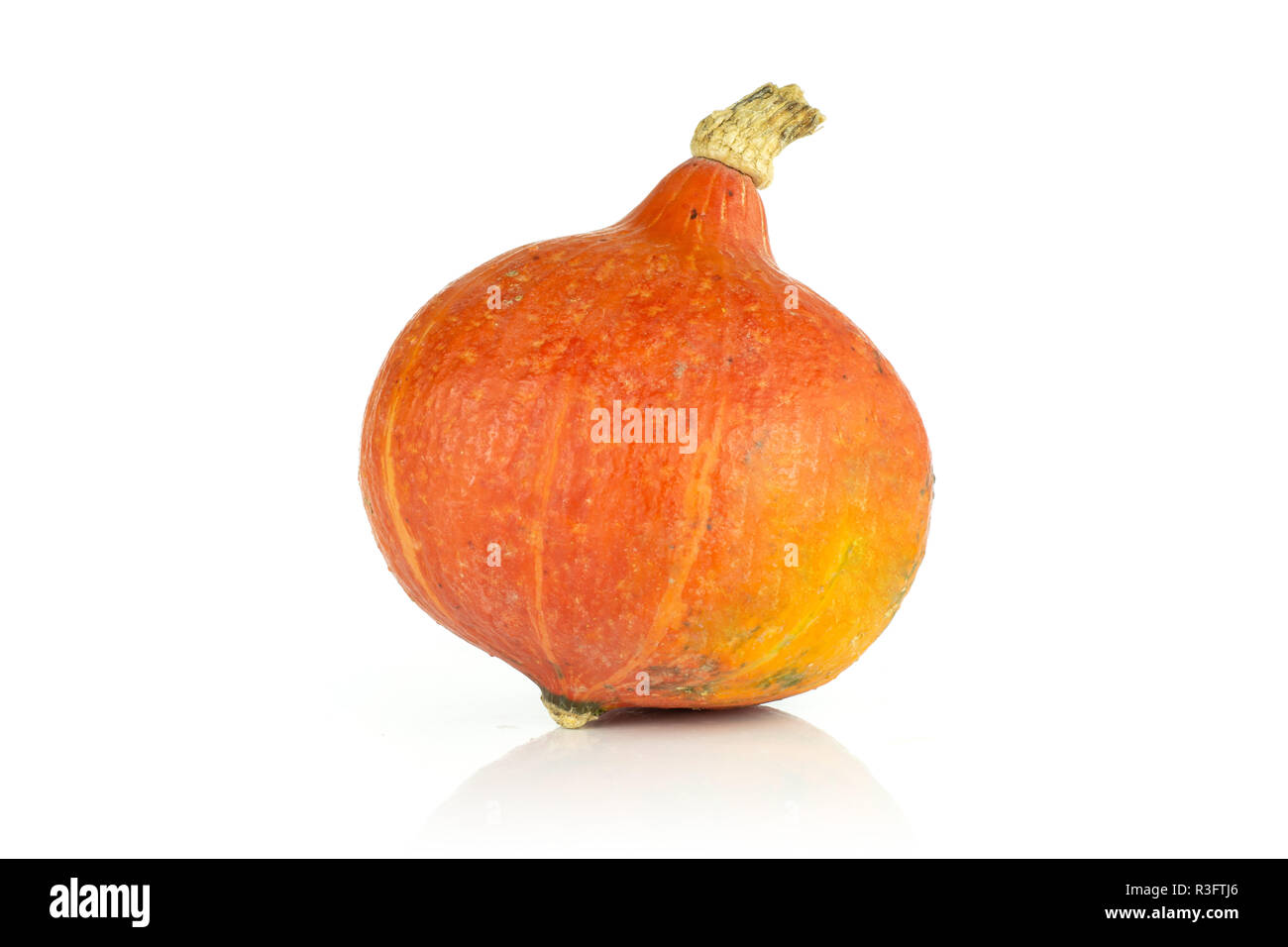 One whole bright fresh red kuri pumpkin hokkaido variety isolated on white background Stock