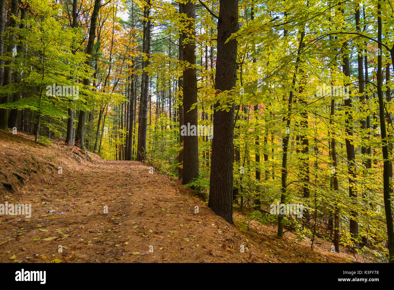Autumn or Fall in Connecticut at Buckingham Reservoir, Glastonbury, Connecticut Stock Photo
