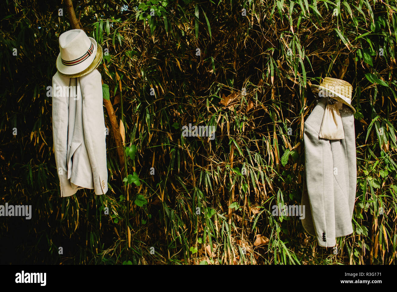 Suit and hat of man hanging from a tree during a summer event Stock ...