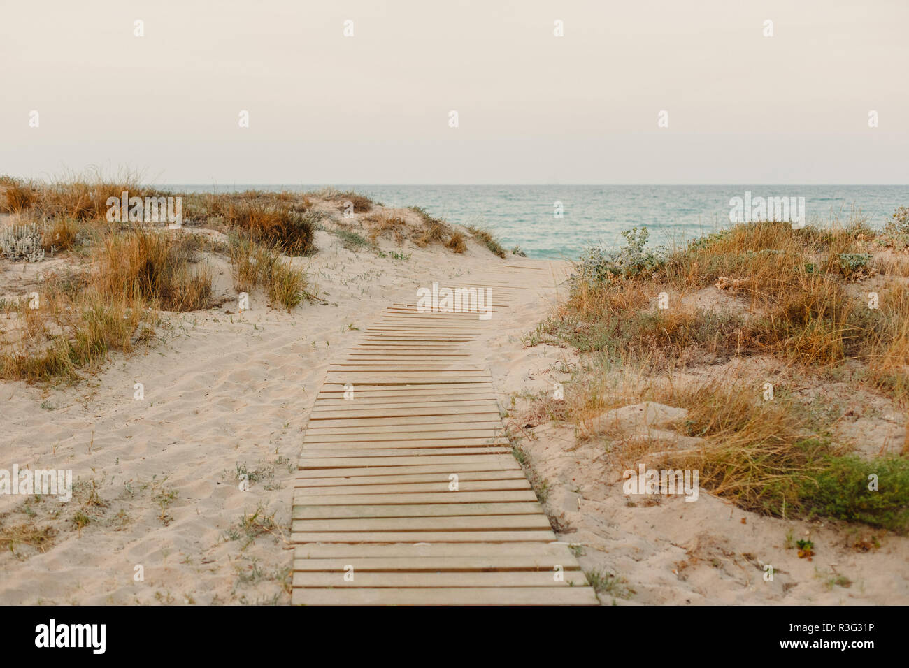 Payment Management Wooden path over the sand of the beach dunes Stock Photo