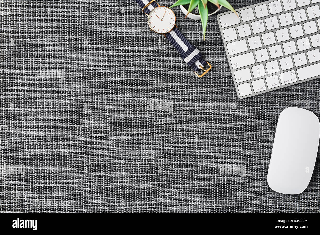 Business composition with white computer keyboard, mouse, coffee cup, women's watch and artificial plant on grey background. Top view with copy space  Stock Photo