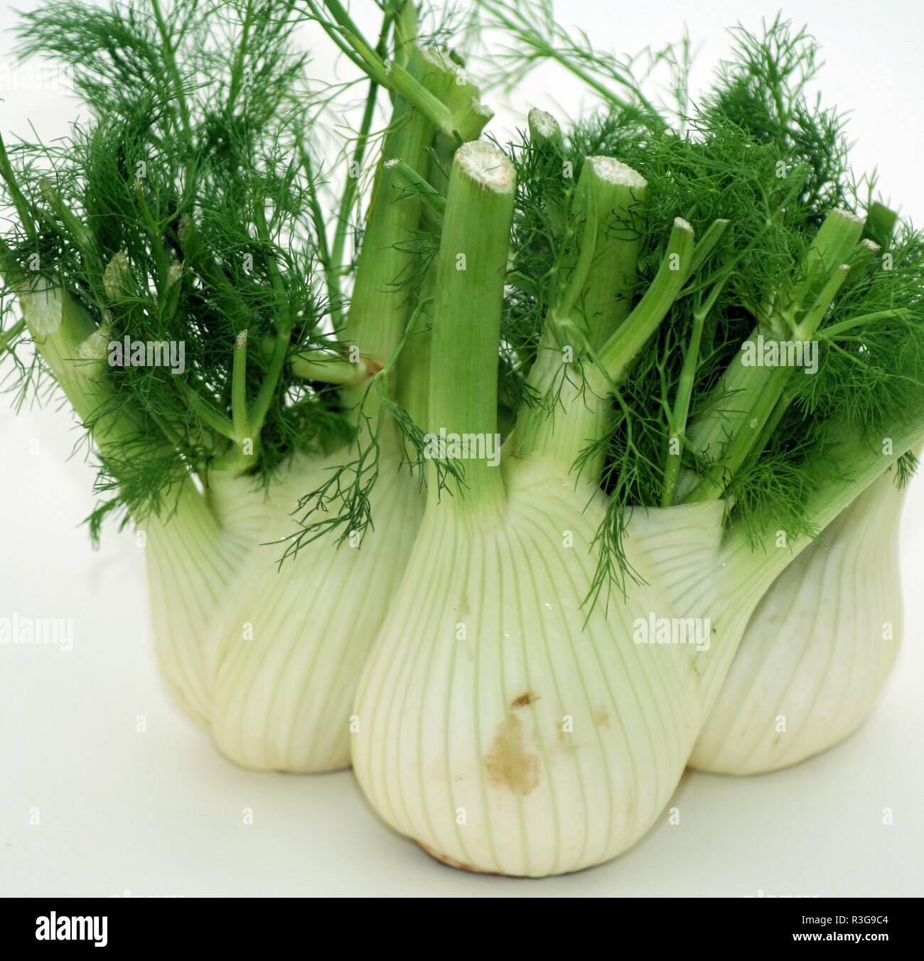 fennel bulbs Stock Photo Alamy