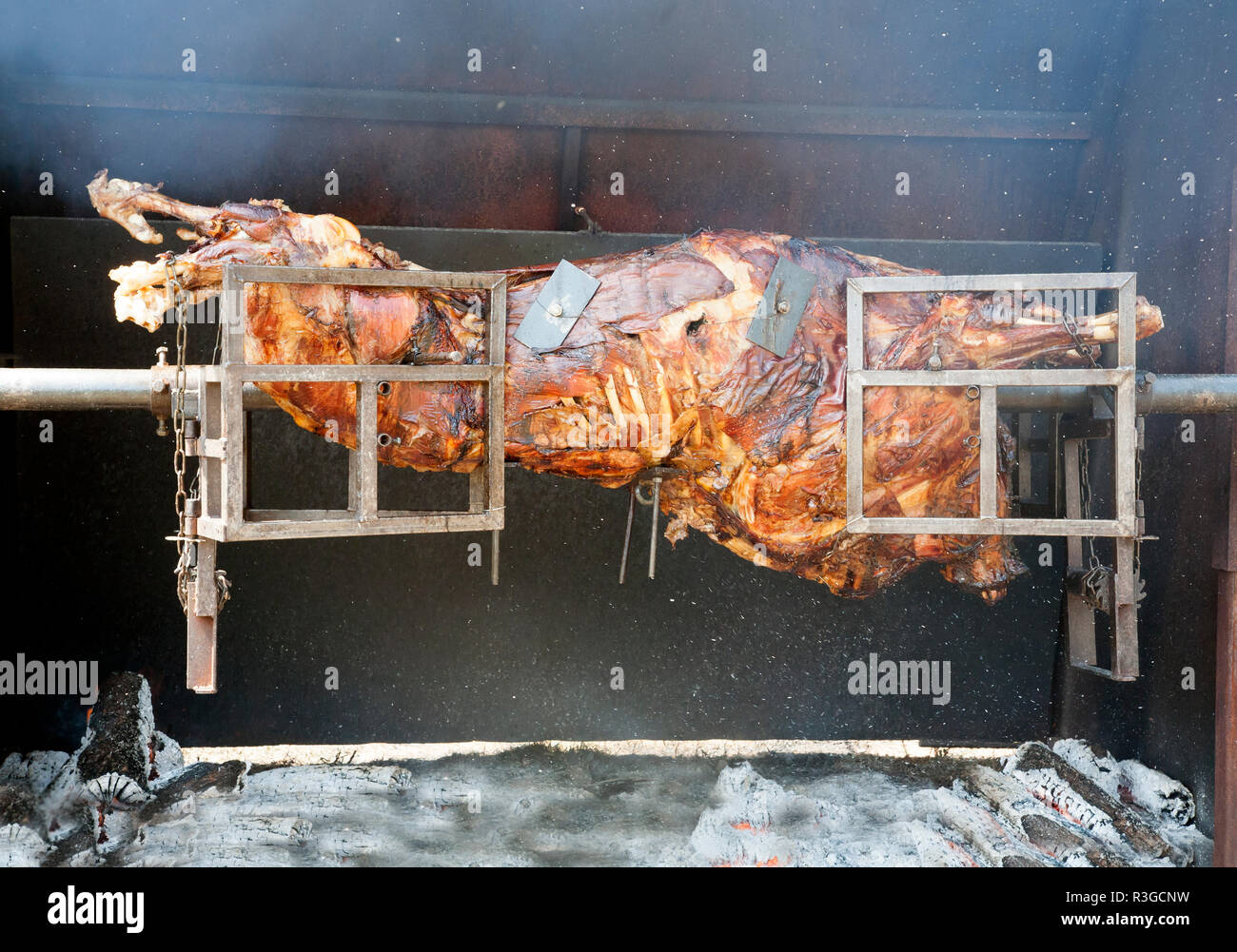 spit roasting a bison over an open fire outside Stock Photo Alamy