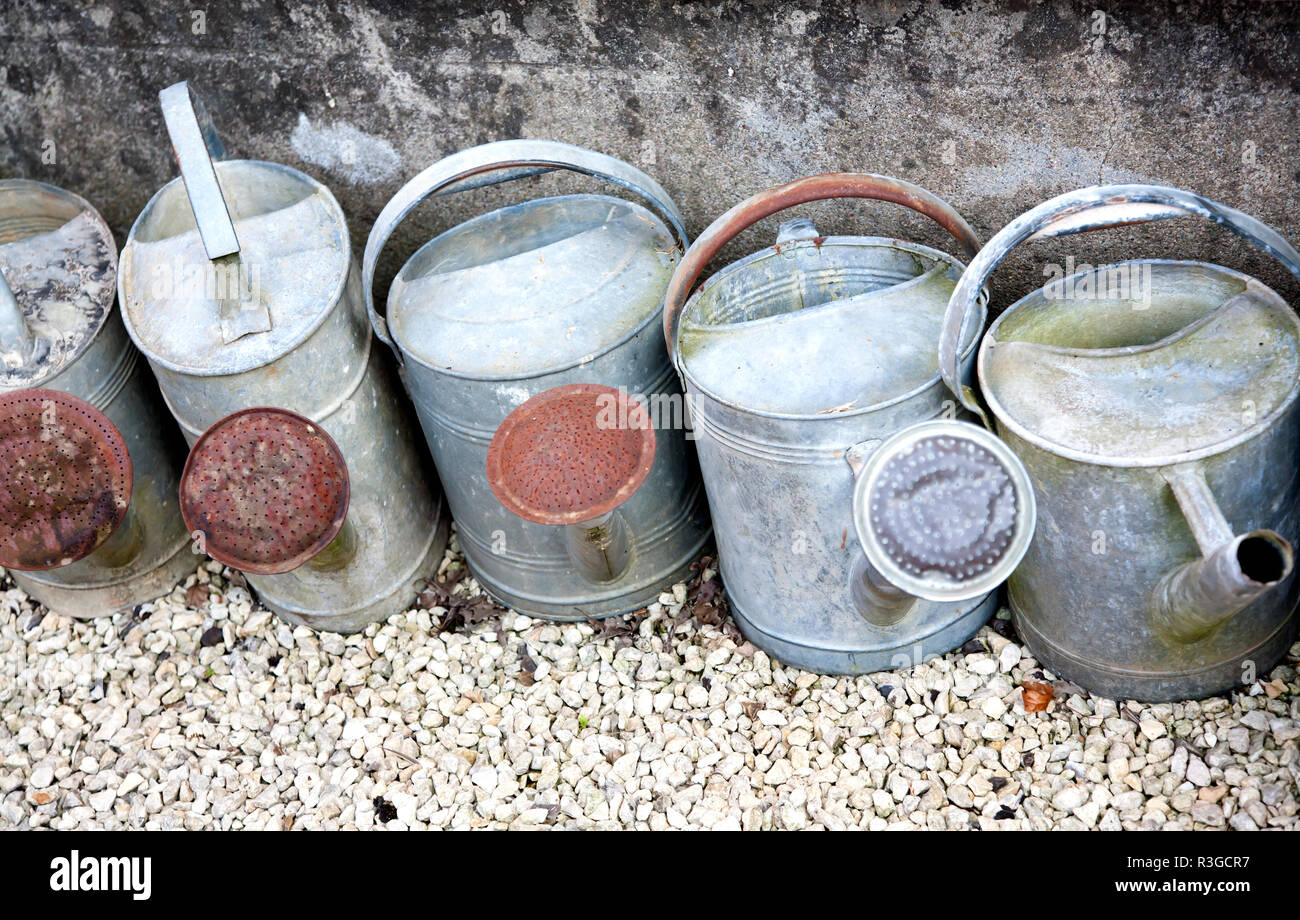 a line of vintage zinc watering cans lined up  to be a shabby chic garden decoration Stock Photo