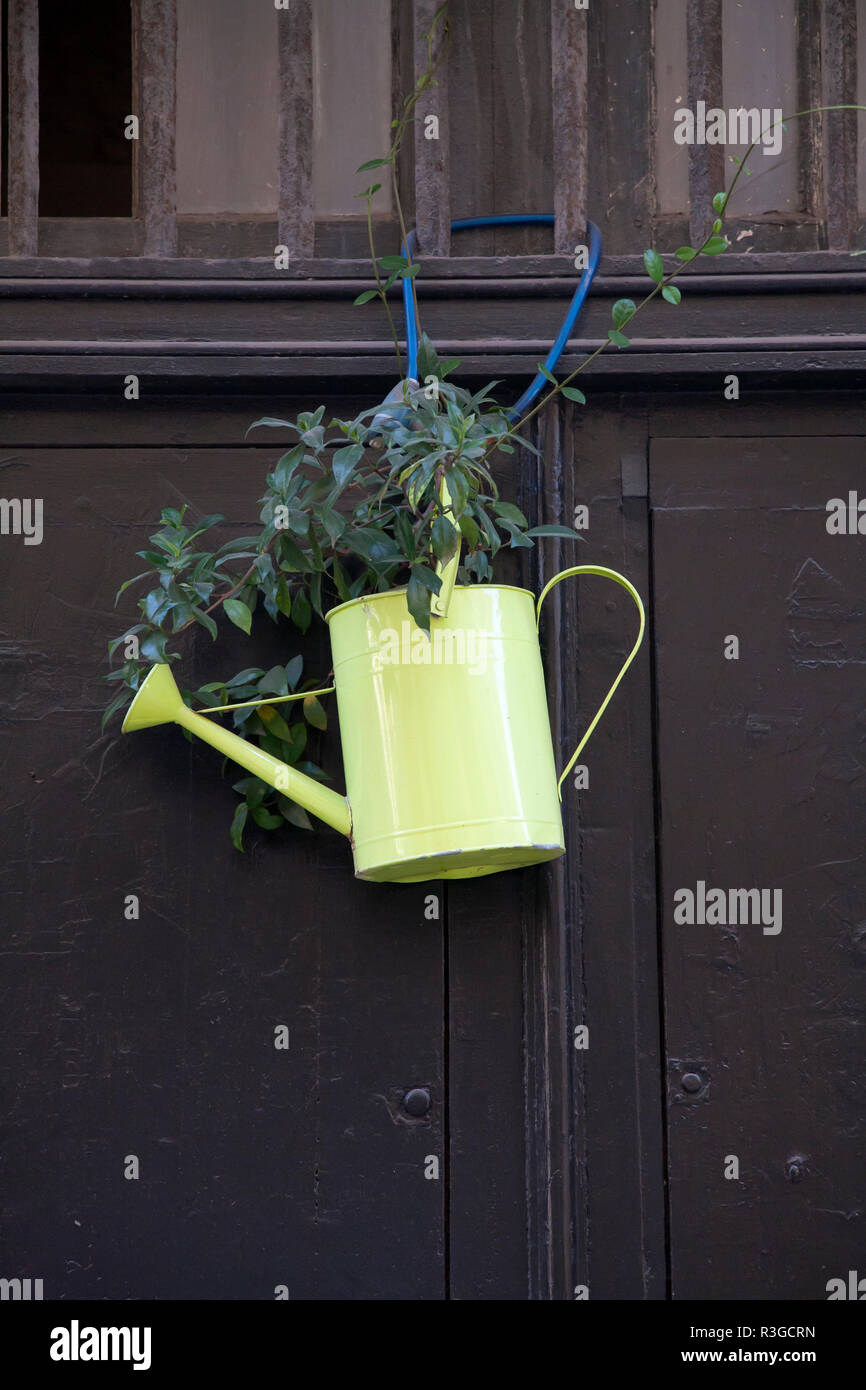 vintage green watering can converted into a flower pot holding a plant and hanging from a fence Stock Photo