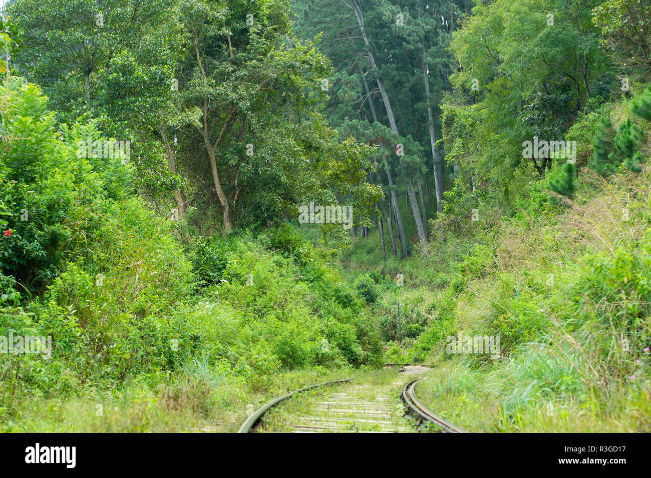 (selective focus) The famous railway line connecting Kandy to Ella in