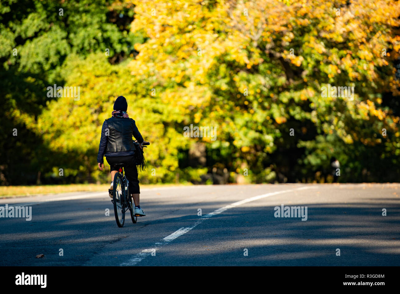 A girl is riding a bicycle in the beautiful and colorful Central Park