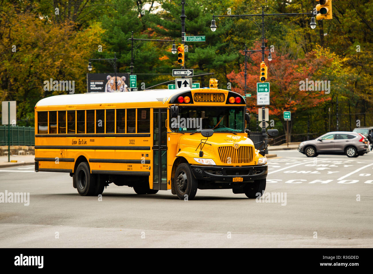 USA ストリート看板　SCHOOL BUS Amazon.com: School Bus Crossing Sign Zone Xing | Indoor
