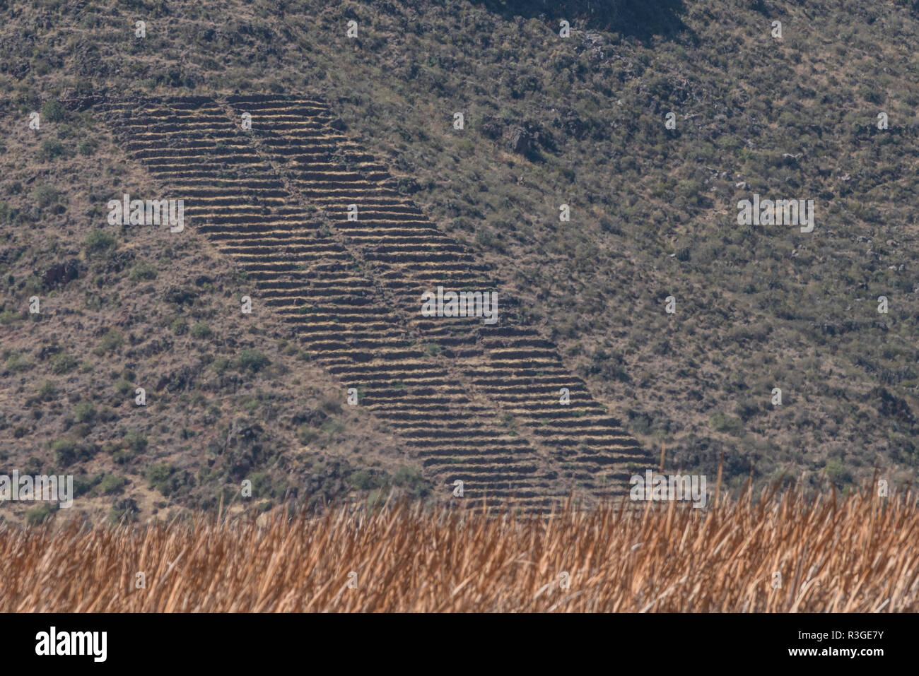 An ancient incan terrace preserved on a hillside, the incans used terracing for agricultural practices. Stock Photo