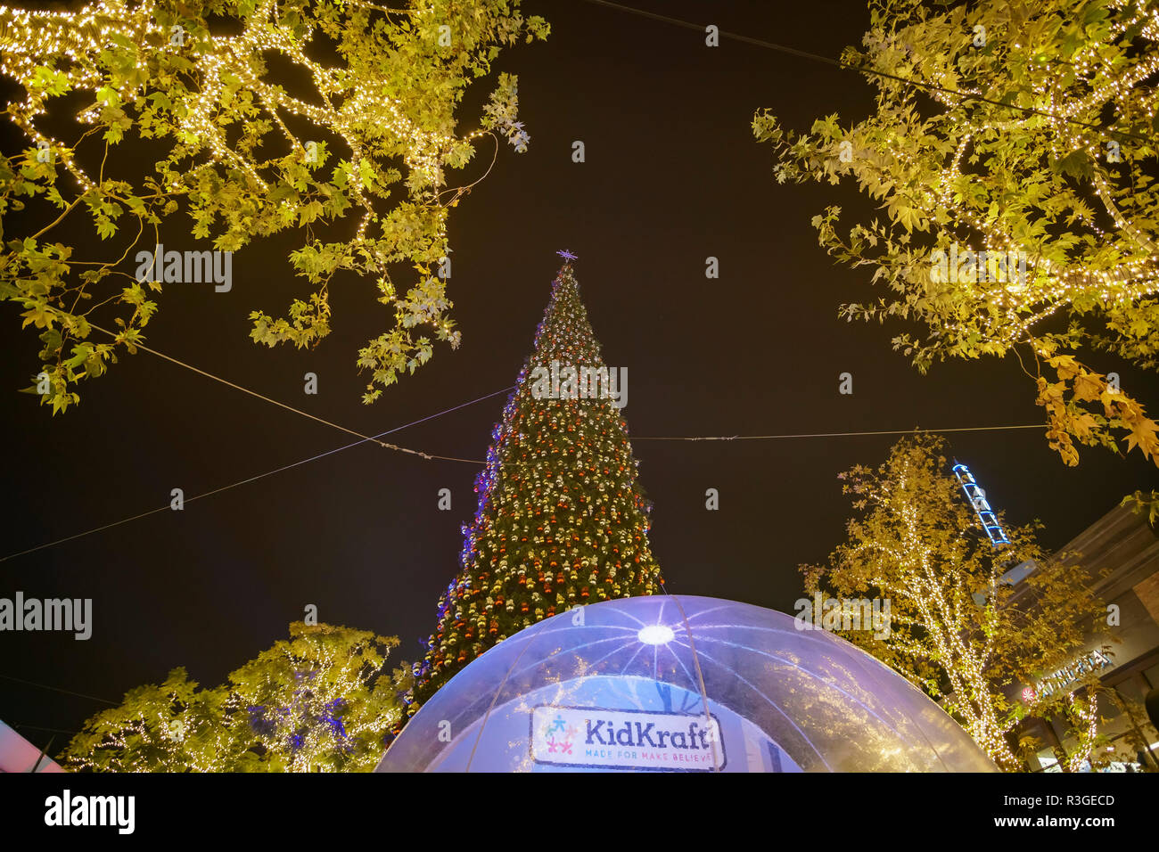 Los Angeles, NOV 19 17th Annual Tree Lighting celebration of Citi
