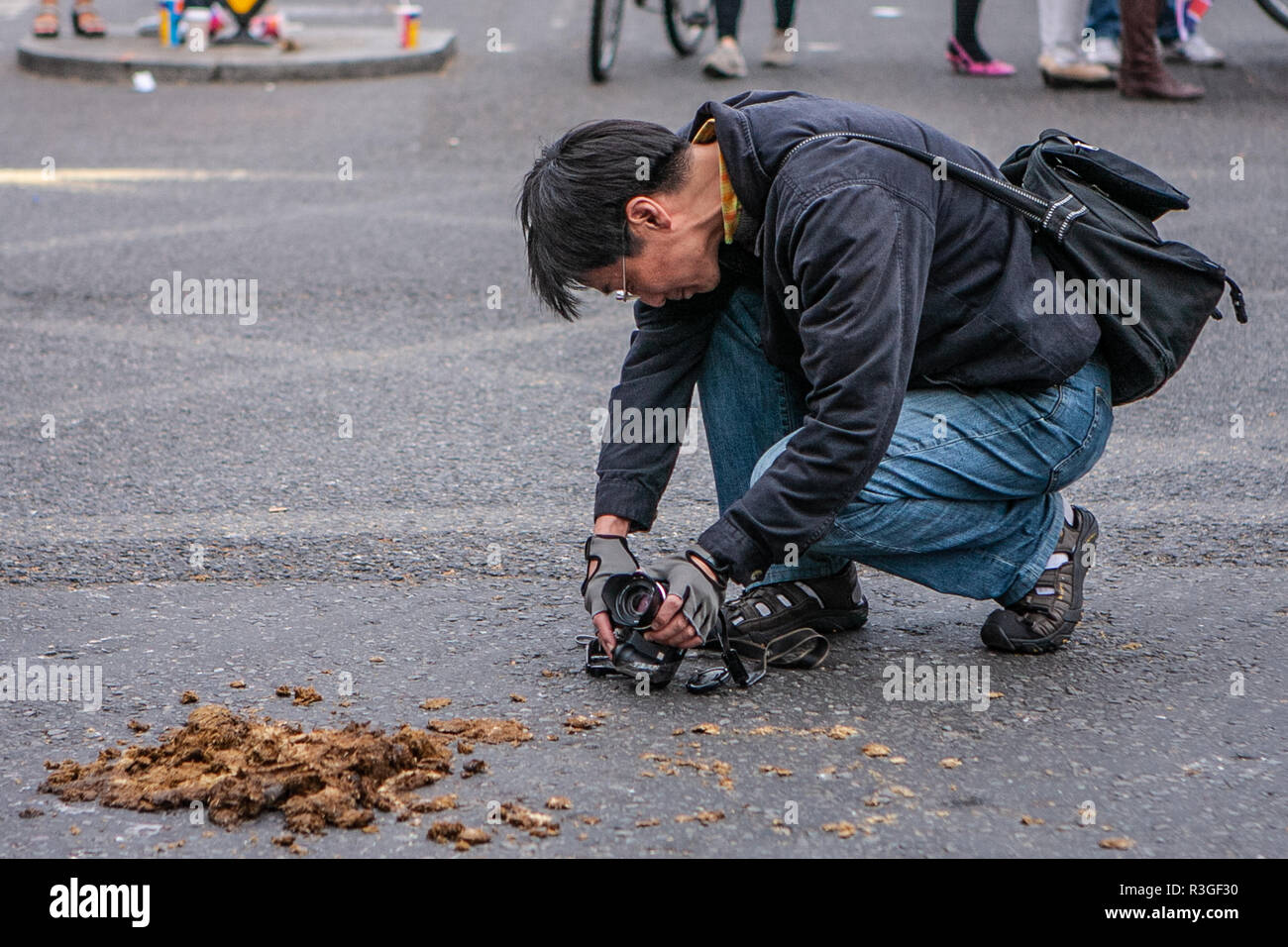 Royal Wedding, a tourist in London photographs horse droppings Stock Photo