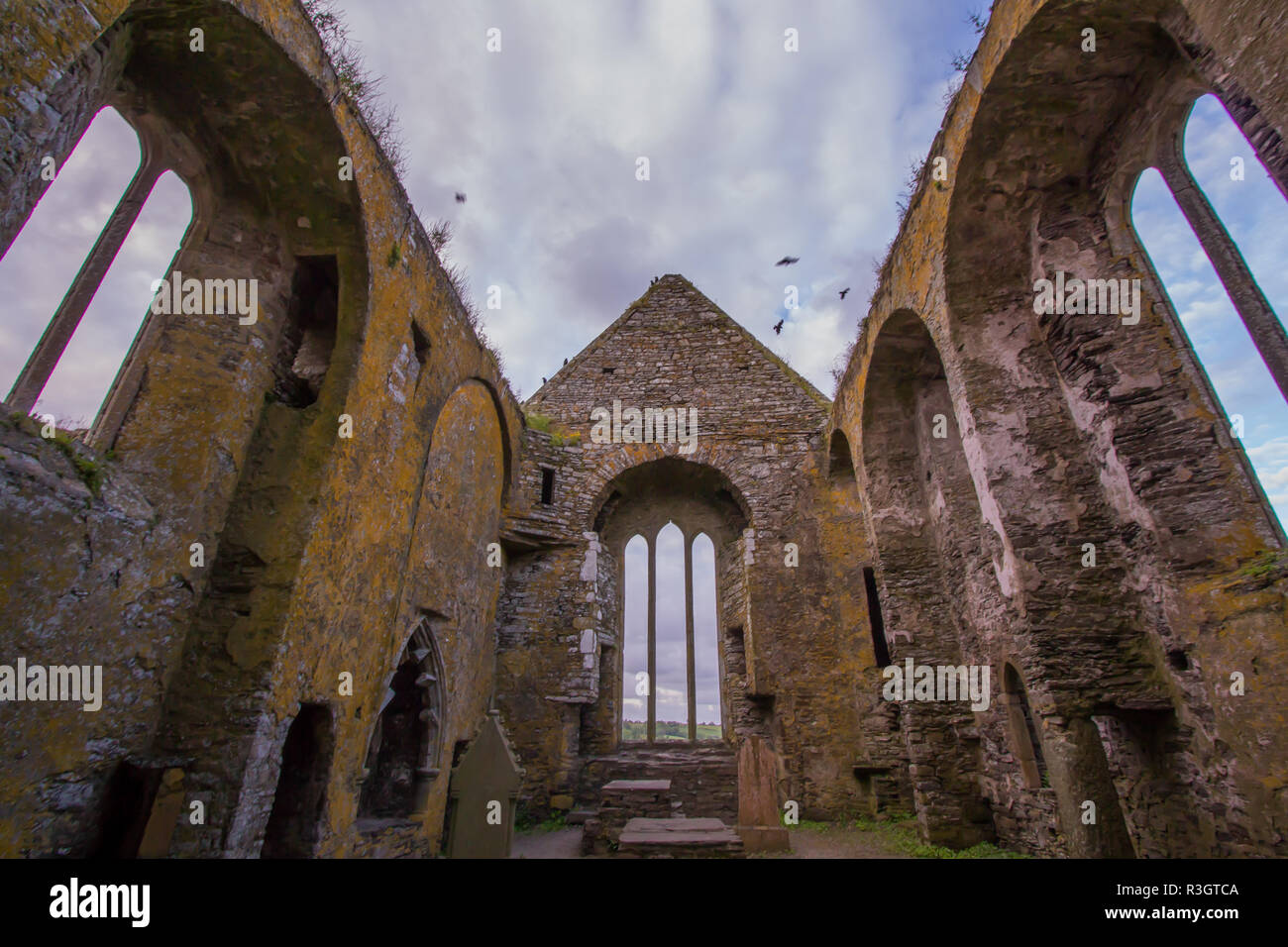 dunbrody abbey,abbey ruin Stock Photo