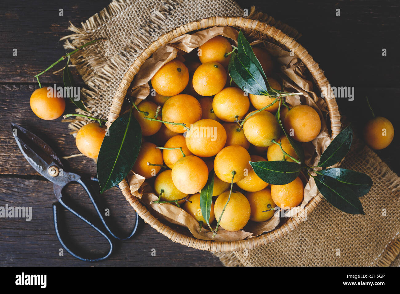 Marian plum fruits Stock Photo - Alamy