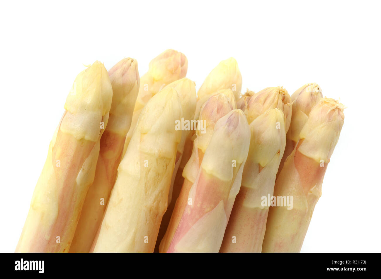fresh asparagus / fresh aspargus Stock Photo