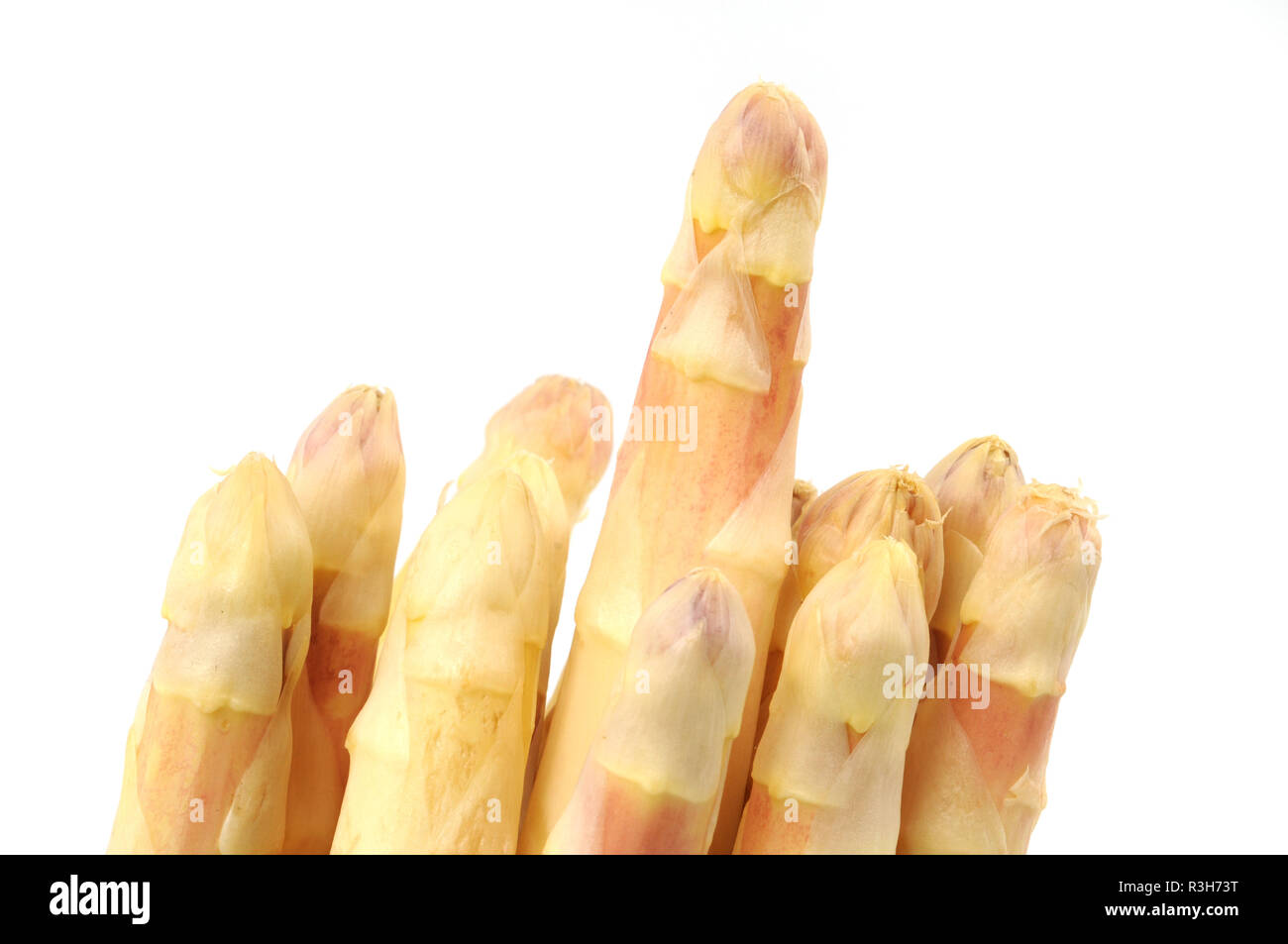 fresh asparagus / fresh aspargus Stock Photo