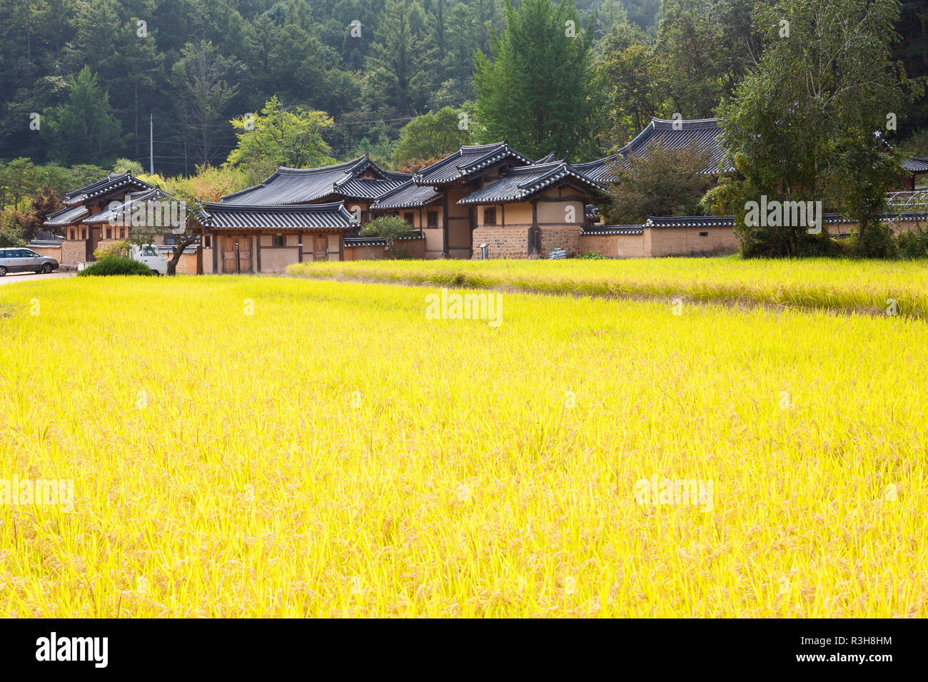 Andong Hahoe folk village make It to the UNESCO List, south korea Stock ...