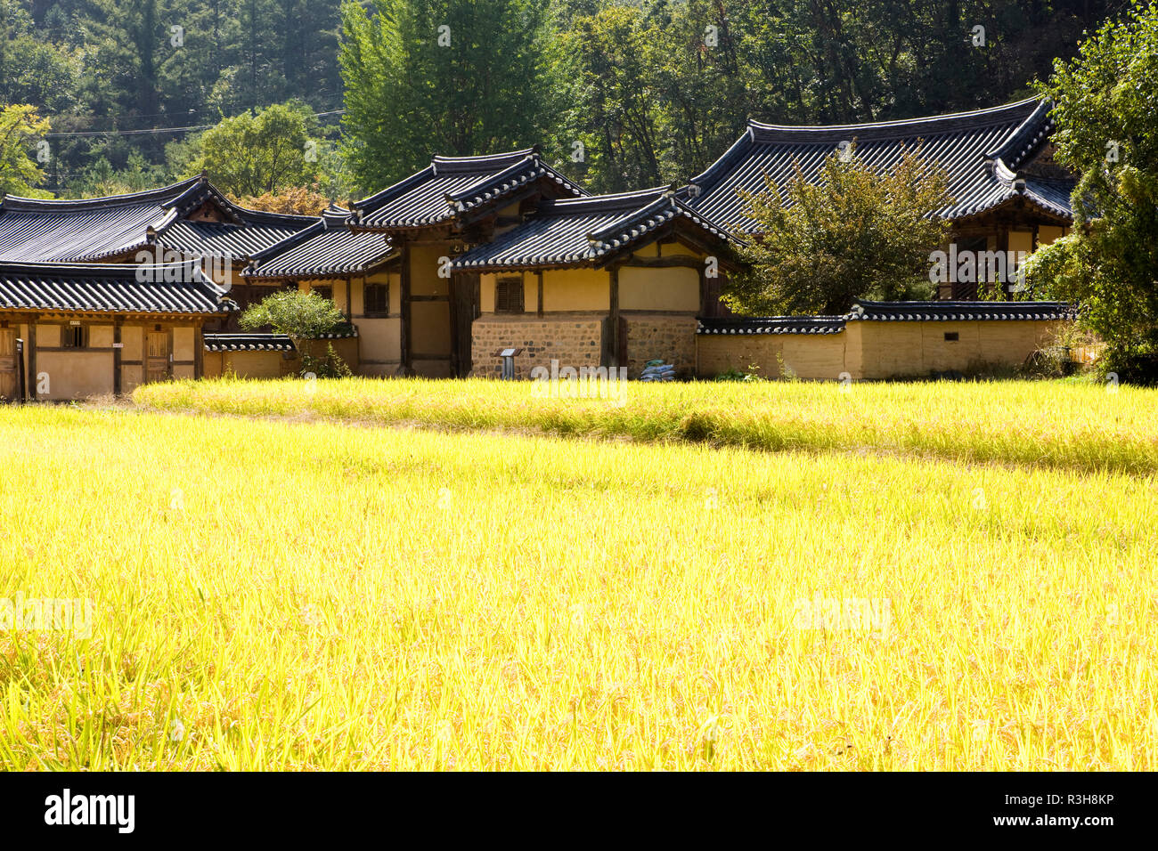 Andong Hahoe folk village make It to the UNESCO List, south korea Stock ...