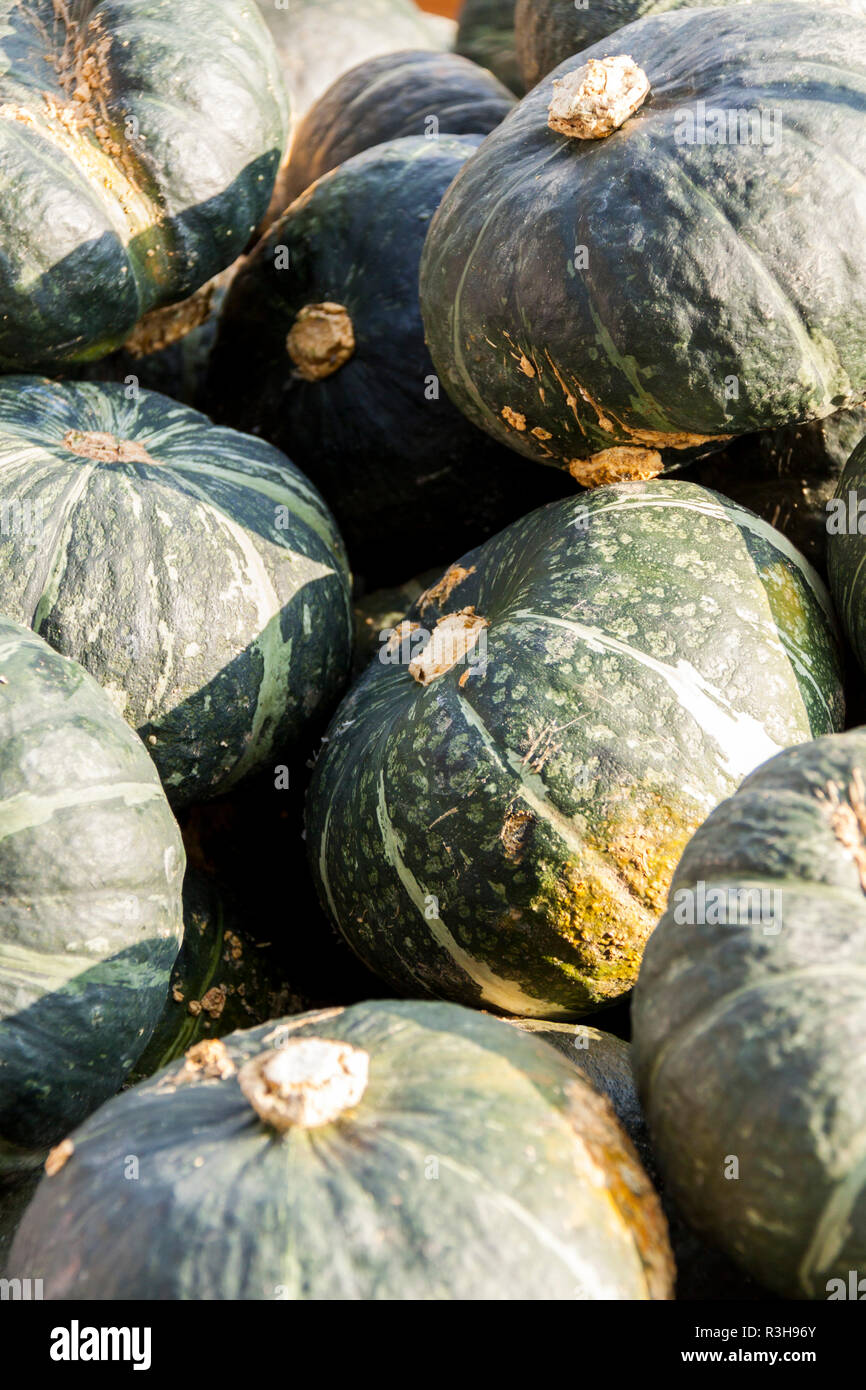 green-hokkaido-hi-res-stock-photography-and-images-alamy