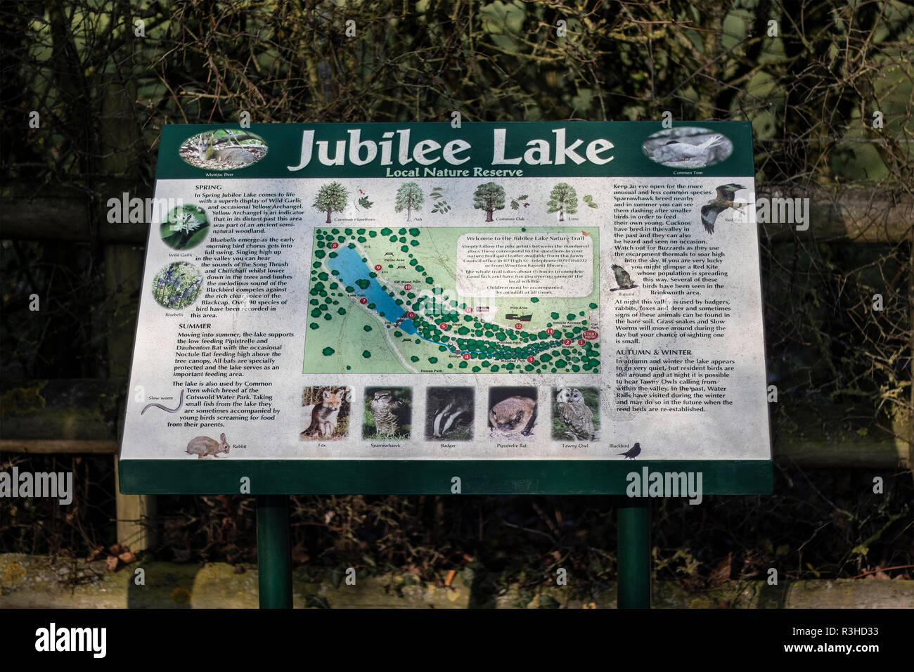 Jubilee Lake Local Nature Reserve Royal Wootton Bassett in Wiltshire