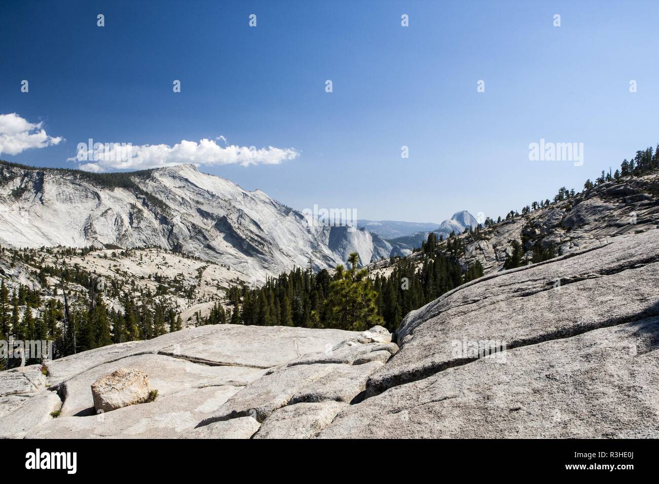 at the tioga road,yosemite national park,sierra nevada,united states