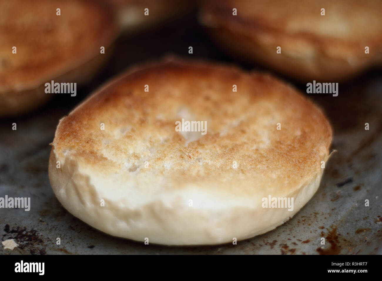 Toasting bread rolls in electric oven Stock Photo Alamy