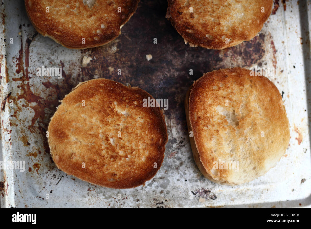 Toasting bread rolls in electric oven Stock Photo Alamy