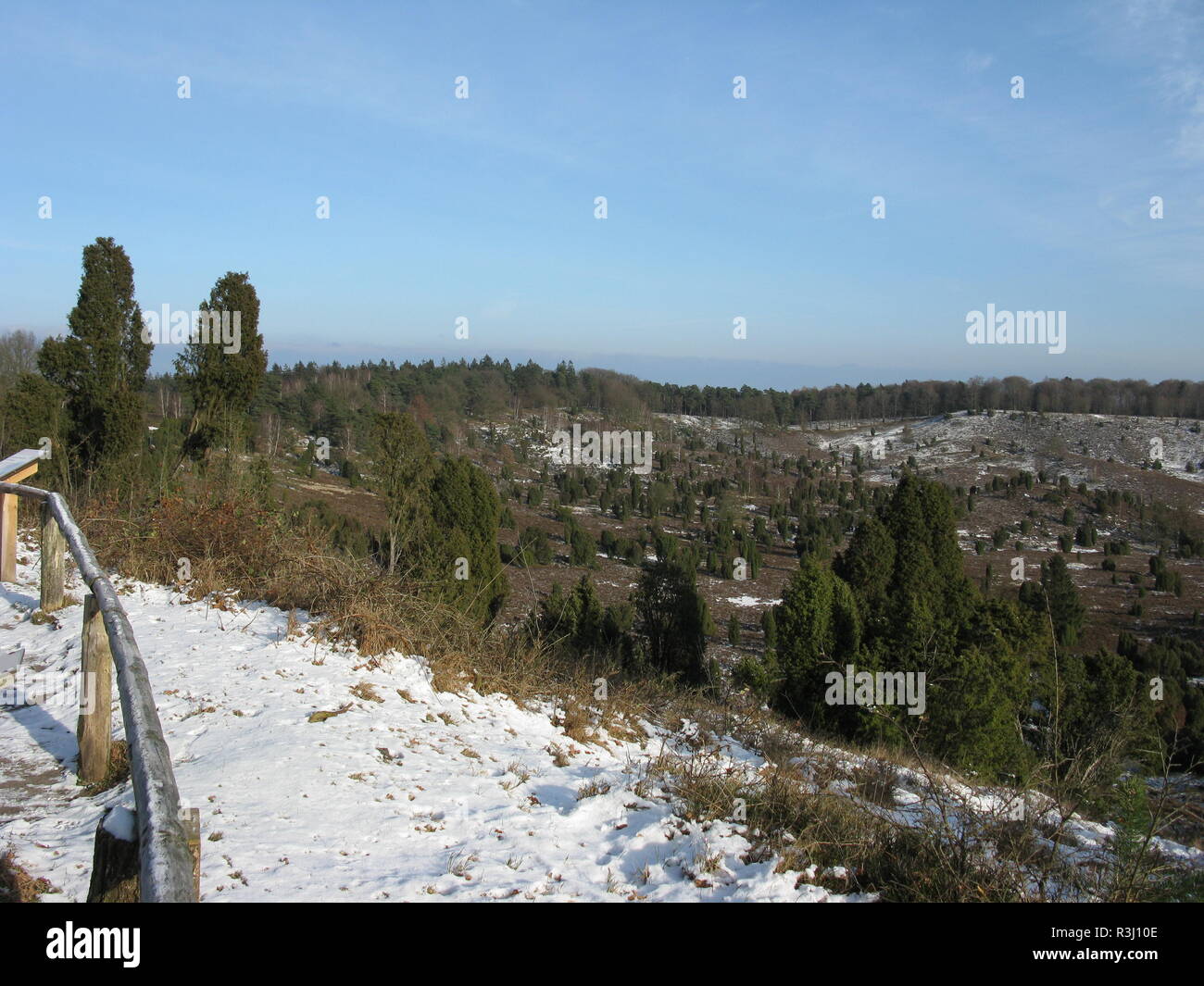 Stock Photo