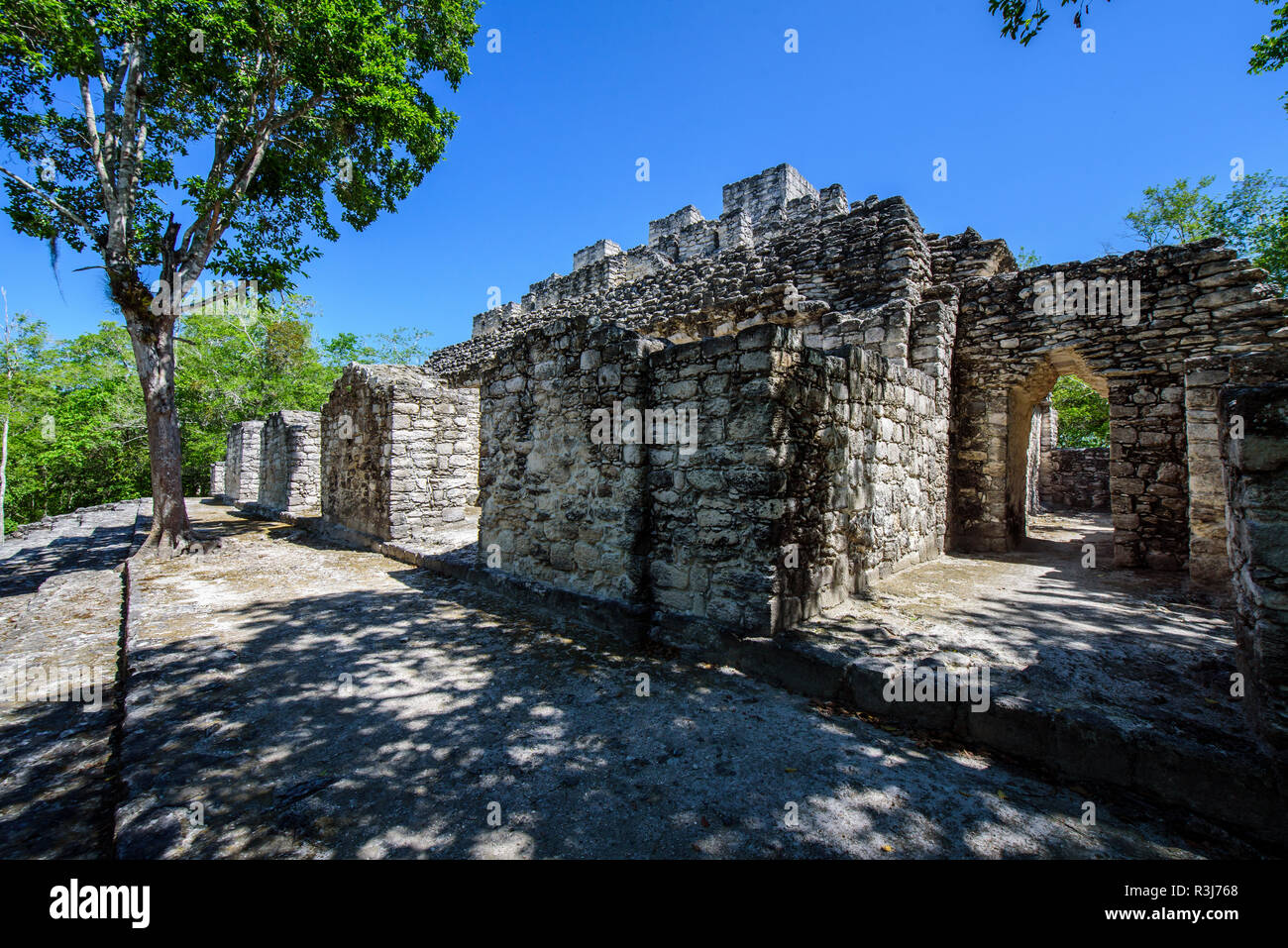 Mayan city of Calakmul, Calakmul Biosphere Reserve, Campeche, Mexico