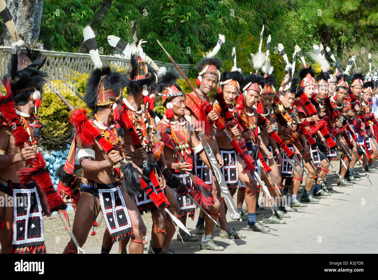 Naga tribal group performers standing in line to welcome Officials at the Hornbill Festival, Kohima, Nagaland, India Stock Photo