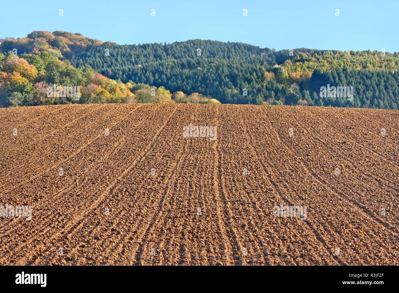 fallow field in autumn Stock Photo