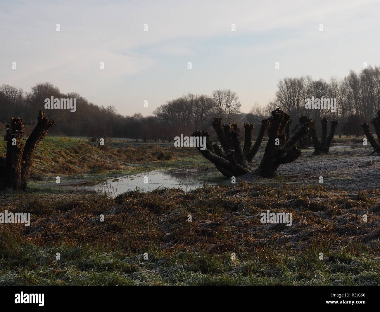drinking water protection area auesee wesel flÃ¼ren Stock Photo