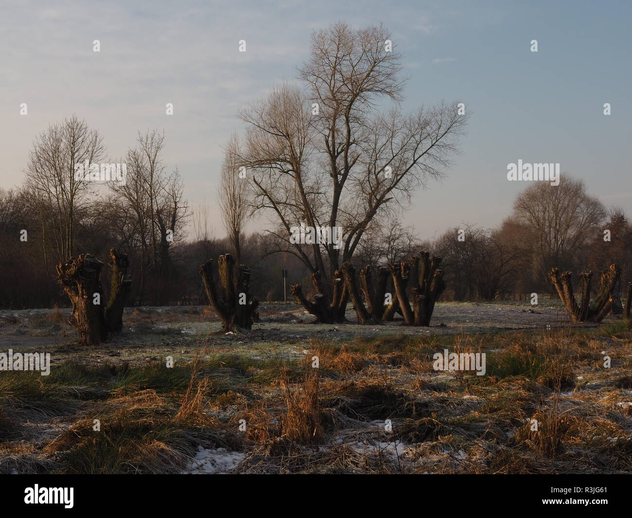 drinking water protection area auesee wesel flÃ¼ren Stock Photo