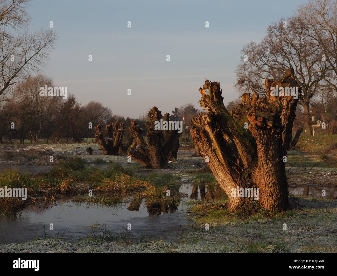drinking water protection area auesee wesel flÃ¼ren Stock Photo
