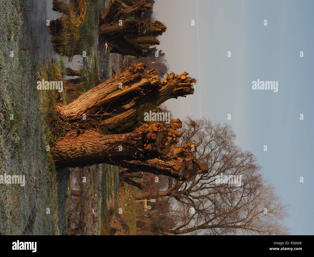 drinking water protection area auesee wesel flÃ¼ren Stock Photo